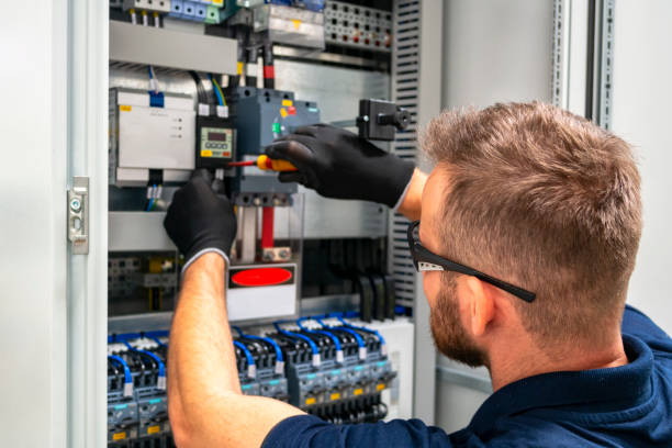 Best Electric Panel Repair  in Lamoni, IA